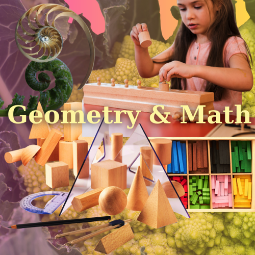 Interior design Children's Packages - 11 Interior design Children's Packages - 11